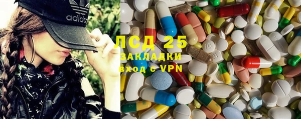 прущие грибы Бородино