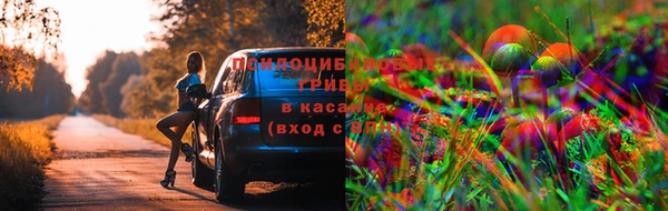 мефедрон мука Богданович