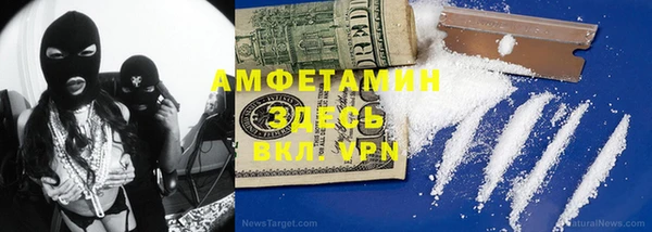 прущие грибы Бородино