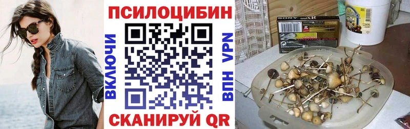 что такое   Баксан  Галлюциногенные грибы Cubensis 